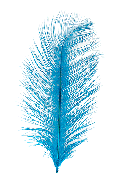 Kingfisher Blue