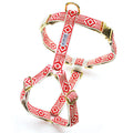Out of My Box Harness: Vermillion and Cream