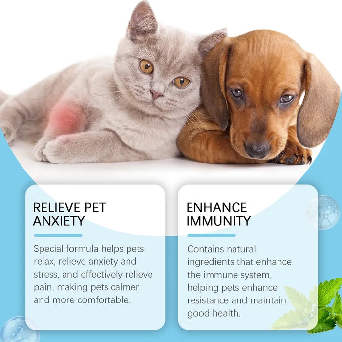 Pet Calming & Immune Support Drops for Dogs & Cats | Daily Wellness Formula
