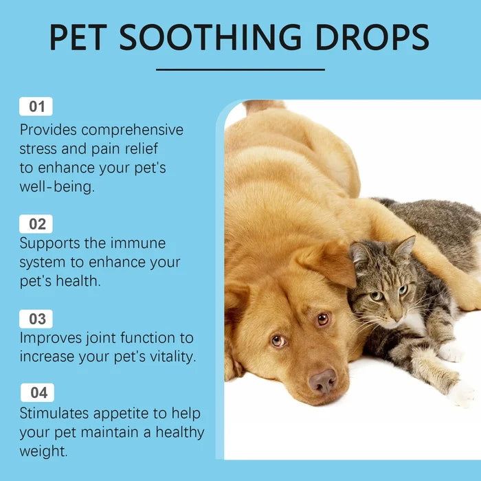 Pet Calming & Immune Support Drops for Dogs & Cats | Daily Wellness Formula