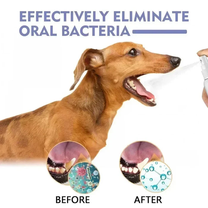 Pet Dental Care Spray for Dogs & Cats | Fresh Breath & Teeth Cleaning (1+1 FREE)