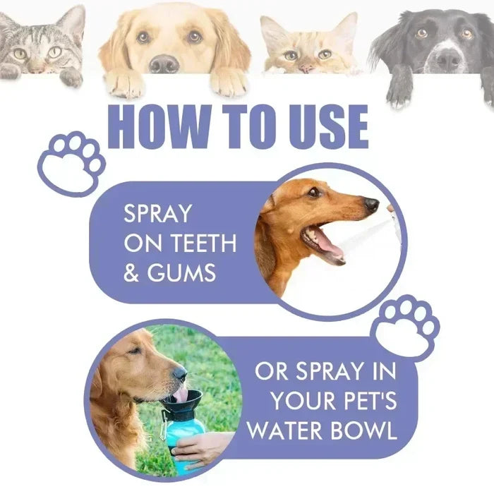 Pet Dental Care Spray for Dogs & Cats | Fresh Breath & Teeth Cleaning (1+1 FREE)