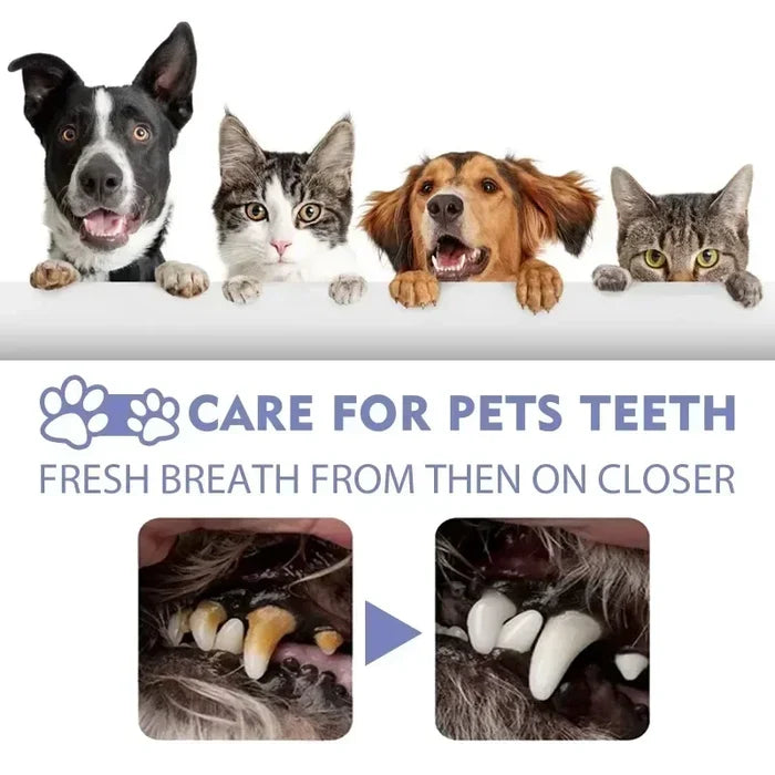 Pet Dental Care Spray for Dogs & Cats | Fresh Breath & Teeth Cleaning (1+1 FREE)