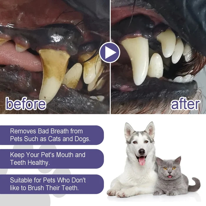 Pet Dental Cleaning Gel Pen for Dogs & Cats | Fresh Breath & Plaque Care