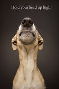 Postcard: Hold your head up high!