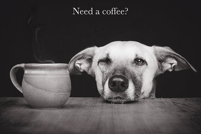 Postcard: Need a coffee?
