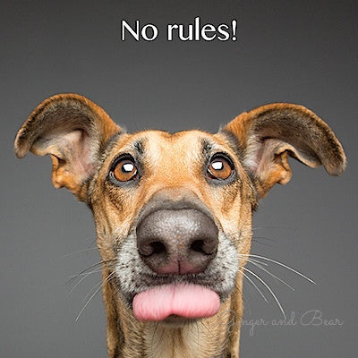 Postcard: No rules!