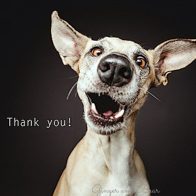 Postcard: Thank you