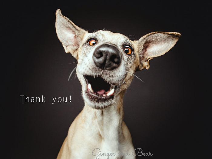 Postcard: Thank you