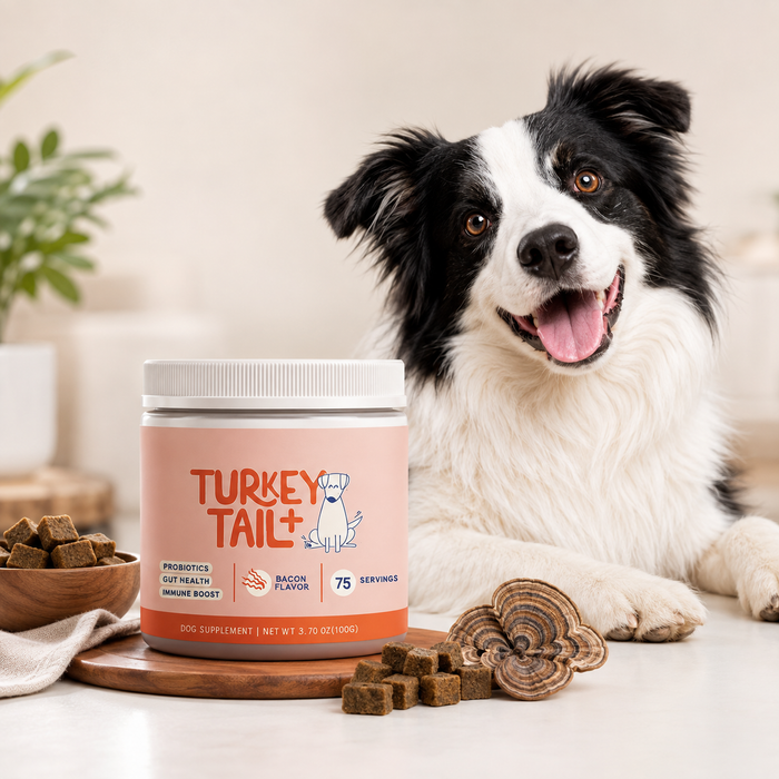 Probiotic Soft Chews for Dogs | Daily Digestive & Gut Health Support