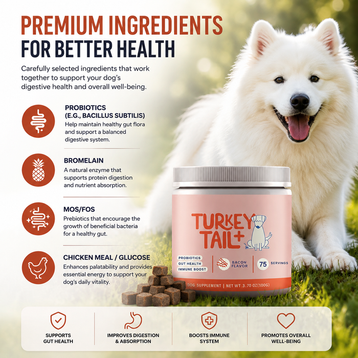 Probiotic Soft Chews for Dogs | Daily Digestive & Gut Health Support