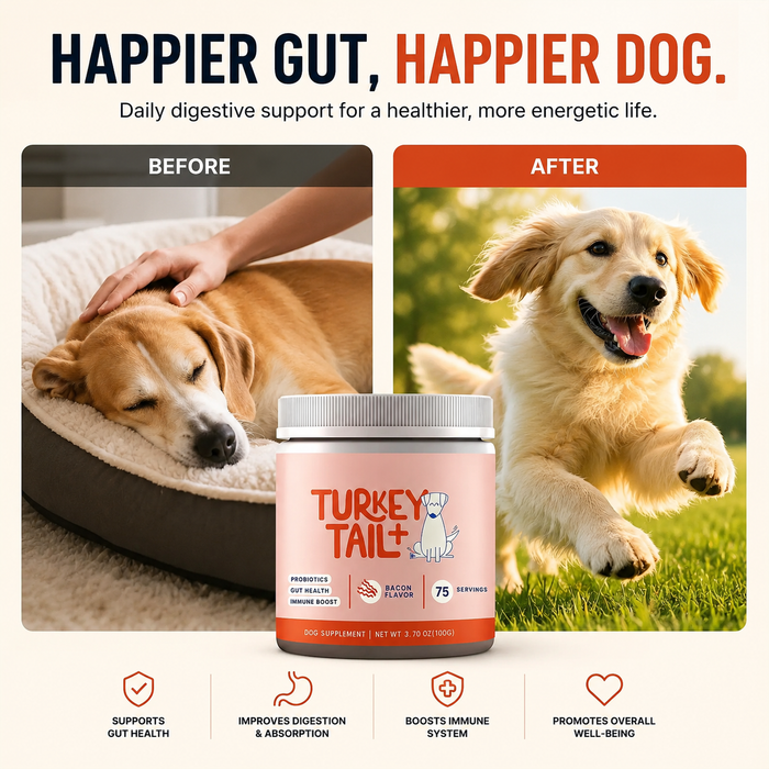 Probiotic Soft Chews for Dogs | Daily Digestive & Gut Health Support
