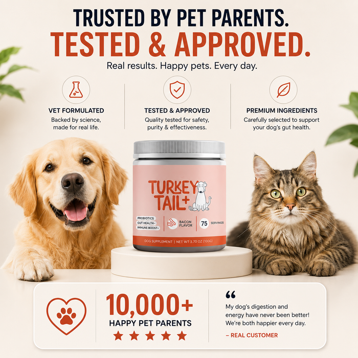 Probiotic Soft Chews for Dogs | Daily Digestive & Gut Health Support