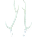 QuivAR Enabled Axis Deer Replacement Antlers (Antlers Only)