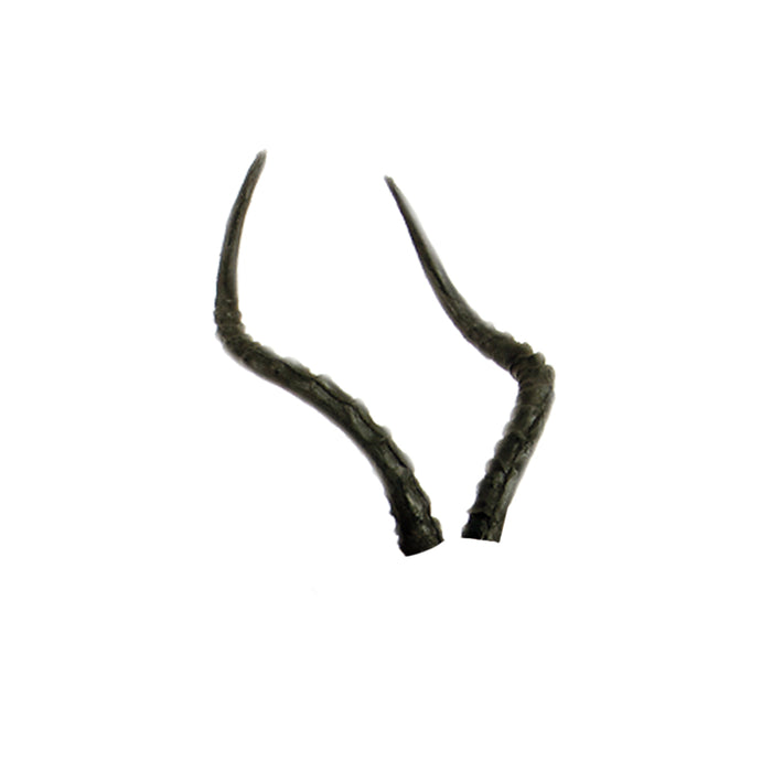 Real Wild 3D African Impala Replacement Horns (Horns Only)