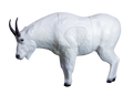 Real Wild 3D Mountain Goat Replacement Horns (Horns Only)