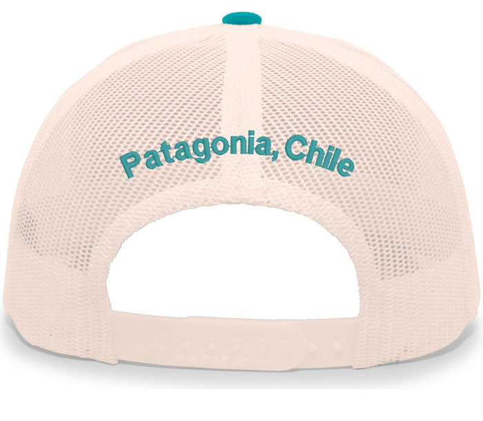 Jaguar Teal / Beige / Jaguar / Patagonia