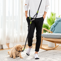 Reflective Hands-Free Dog Leash with Adjustable Bungee for Walking & Running