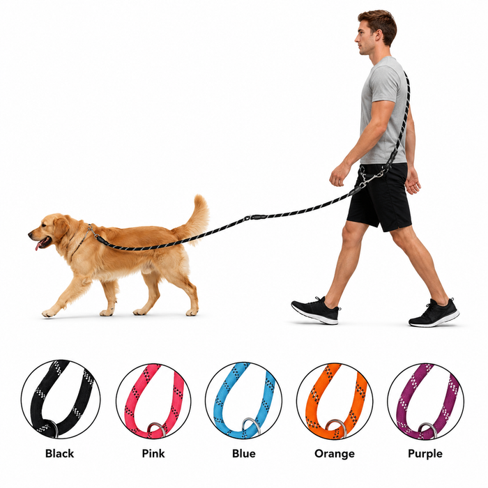 Reflective Hands-Free Dog Leash with Adjustable Bungee for Walking & Running