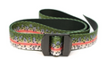 Rep Your Water // Basecamp Belt