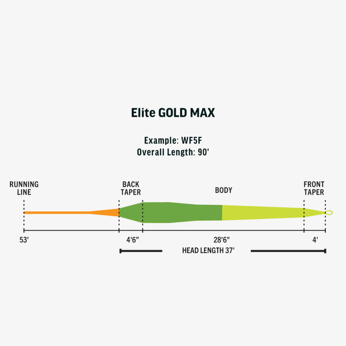 Rio Elite Gold Max // Weight Forward Floating Line