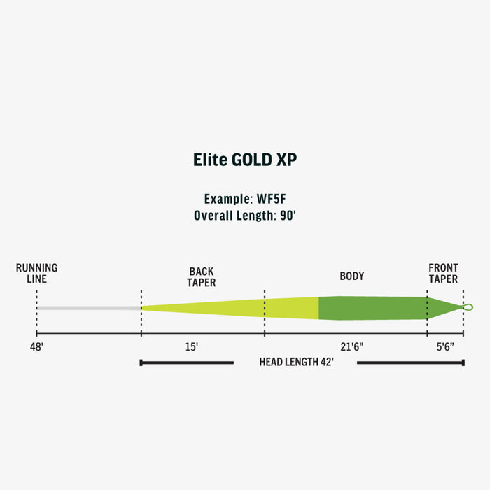 Rio Elite Gold XP // Weight Forward Floating Line