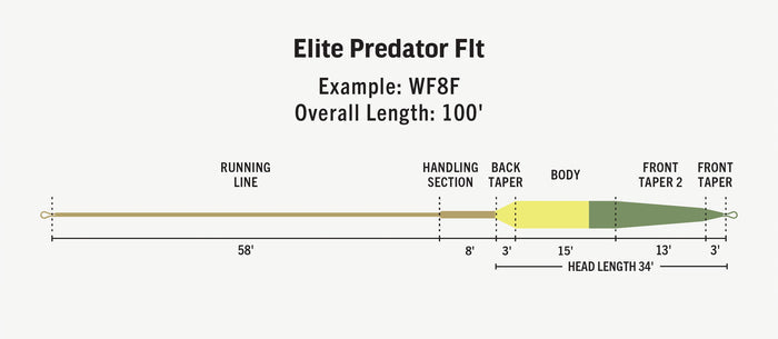 RIO Elite Predator Deep Sinking Line