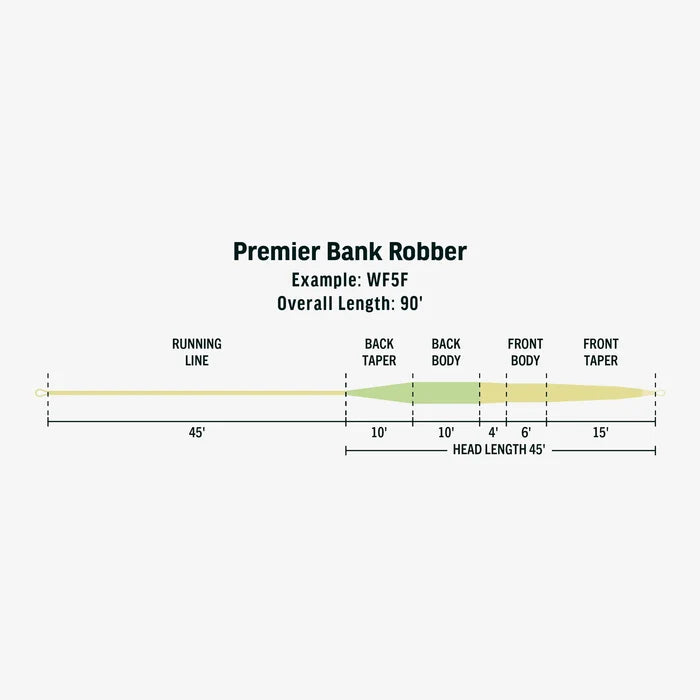 RIO Premier Bank Robber Fly Line