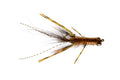 best crawfish fly