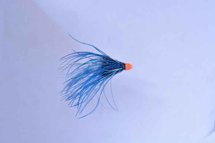 suskwa poacher