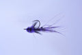 Rondeau's Tarpon Toad