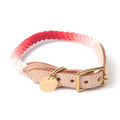 Rope and Leather Collar for Dogs and Cats, Coral