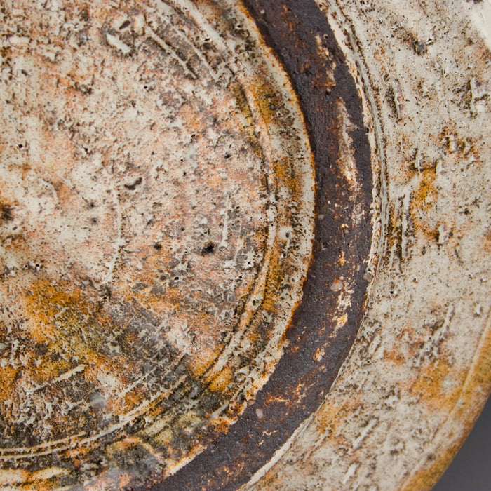 Round Dinner Plate