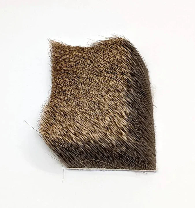Natural spinning cow elk hair by Nature’s Spirit – durable, hollow hair perfect for tying buoyant wings on Elk Hair Caddis, hoppers, and stimulators.