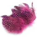 Hareline Strung Guinea Feather in Hot Pink – vibrant fluorescent pink feather with bold black speckling, ideal for eye-catching steelhead, salmon, and attractor fly patterns.