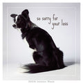 Sympathy: Kate's Sorry for your Loss