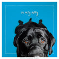 Sympathy: Tar's So Very Sorry Sympathy