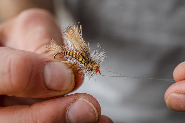 Tiemco Nymph/Dry Fly Hooks - Semi-Dropped Point - TMC200R (25PK)