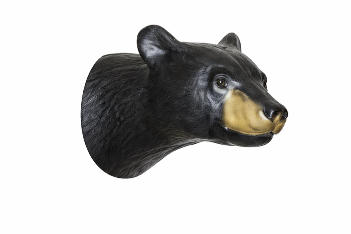 Walking Bear Replacement Head