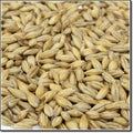 Close-up of Weyermann Carafoam Malted Grain