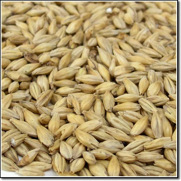 Close-up of Weyermann Carafoam Malted Grain
