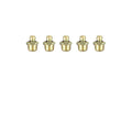 ZE70SP - 1/8" NPT Straight Grease Fitting 5 Pack